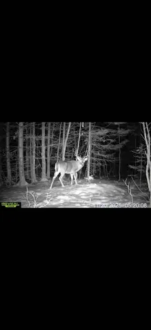 10 Eveleth Road Shirley ME 04485