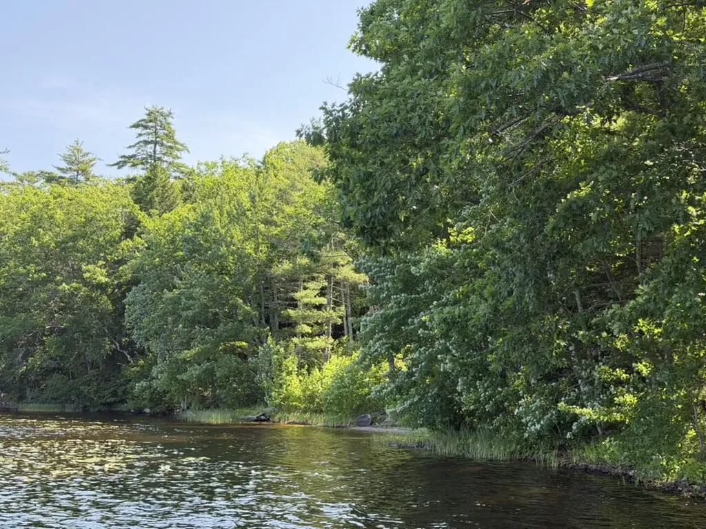 139 Jones Point Road Nobleboro ME 04555