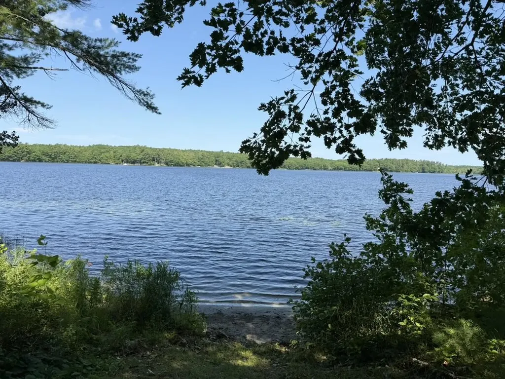 139 Jones Point Road Nobleboro ME 04555