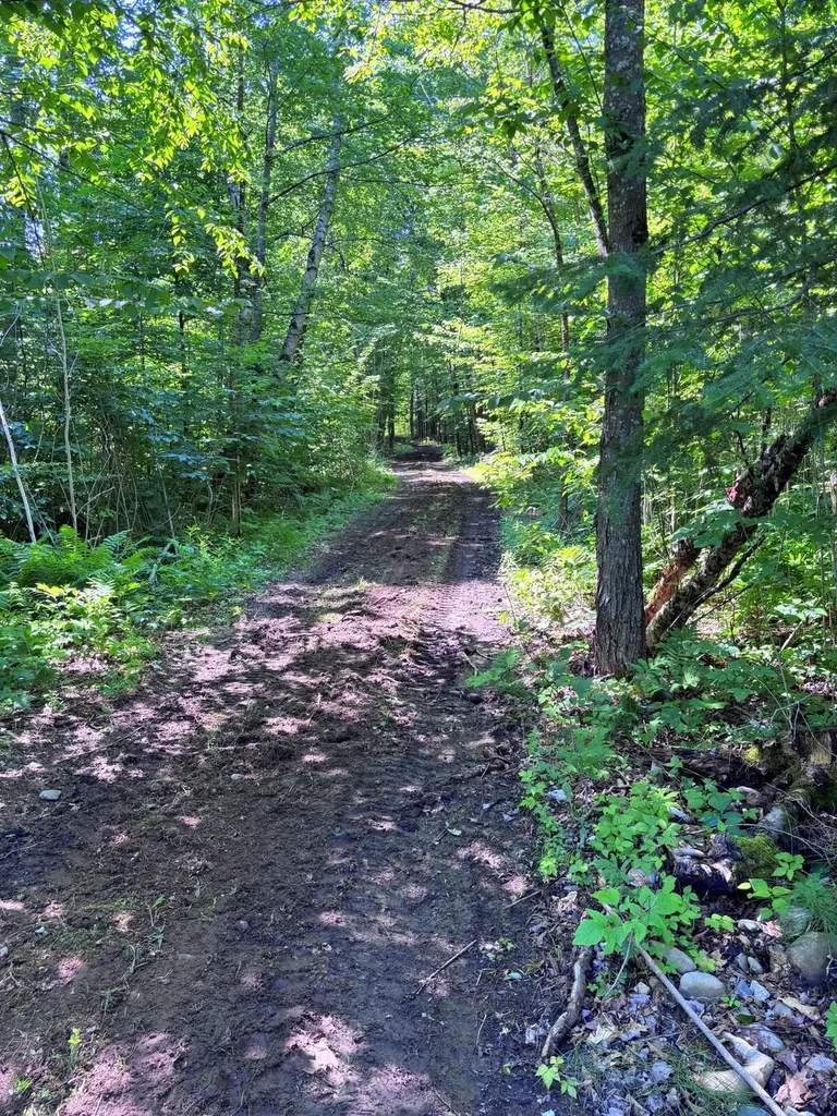 139 Wildlife Lane New Sharon ME 04955