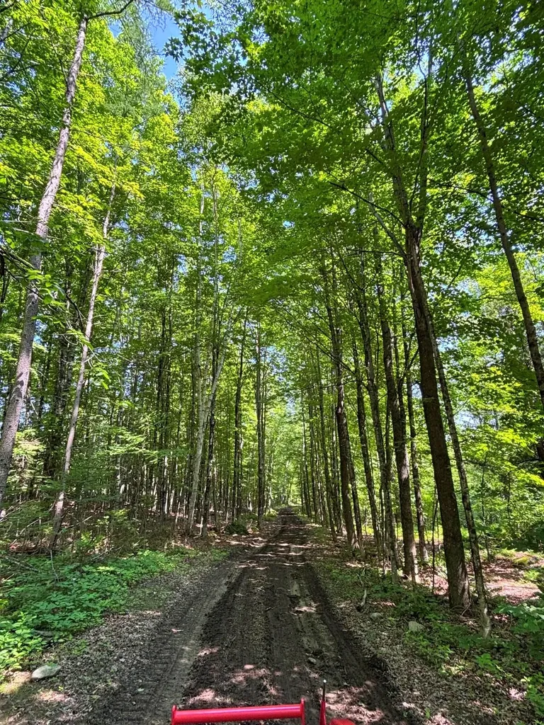 139 Wildlife Lane New Sharon ME 04955