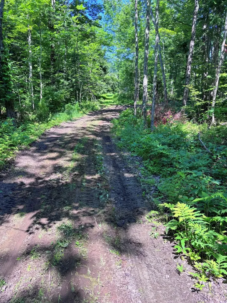 139 Wildlife Lane New Sharon ME 04955