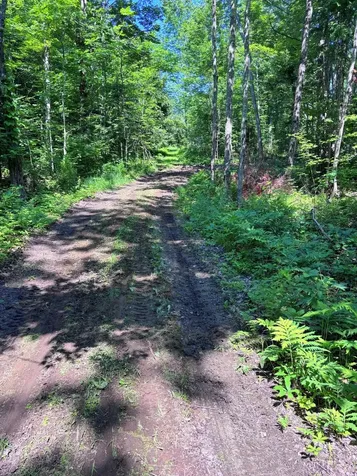 139 Wildlife Lane New Sharon ME 04955