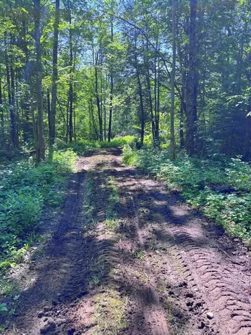 139 Wildlife Lane New Sharon ME 04955