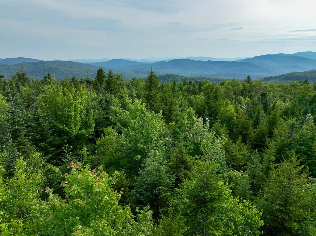 226 Western View Lane Rumford ME 04276