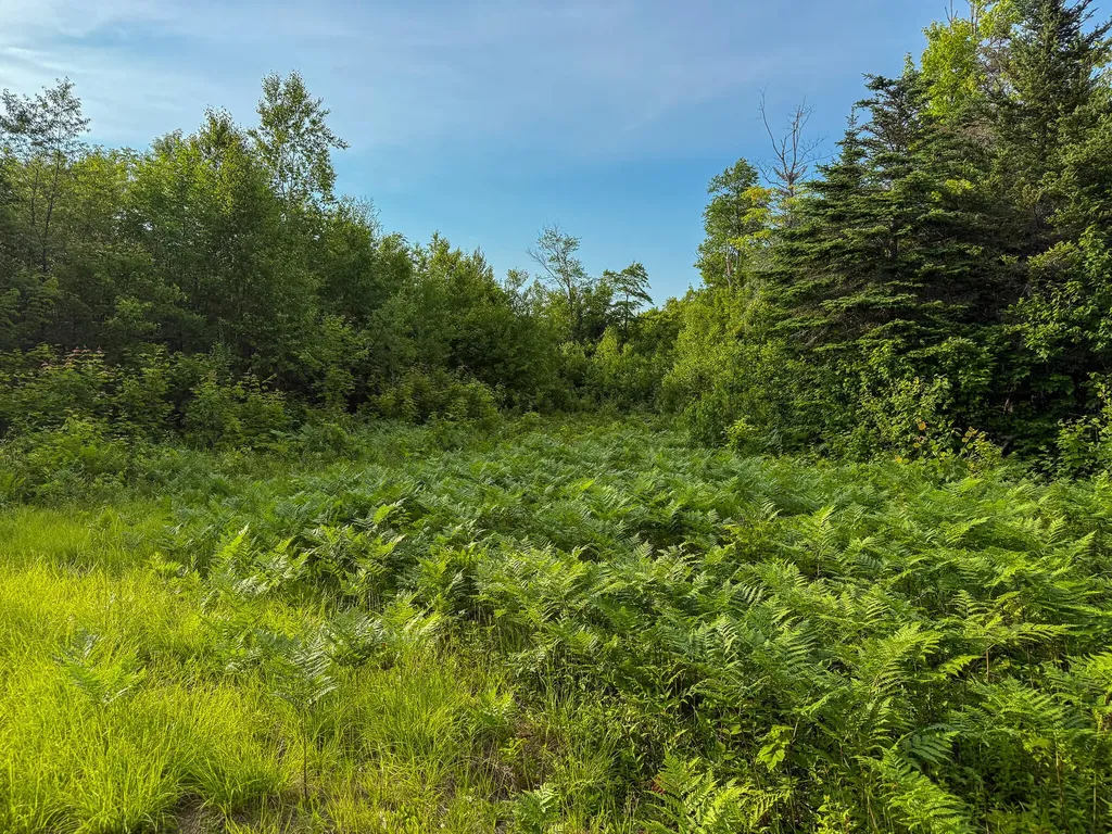 226 Western View Lane Rumford ME 04276