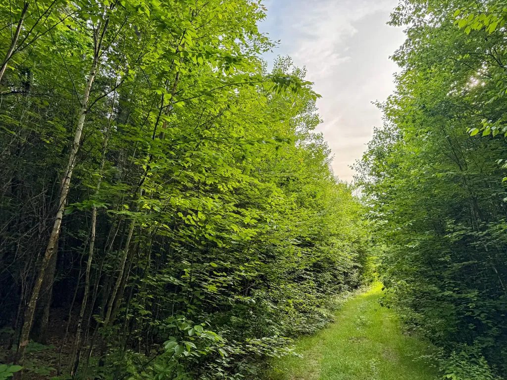 226 Western View Lane Rumford ME 04276