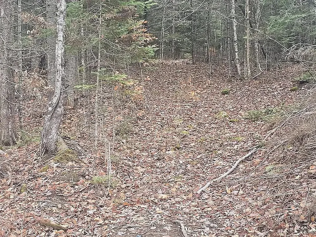 332 Crow Hill Road Parkman ME 04443