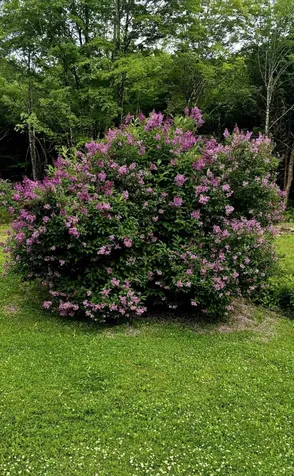 332 Crow Hill Road Parkman ME 04443