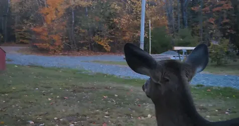 332 Crow Hill Road Parkman ME 04443