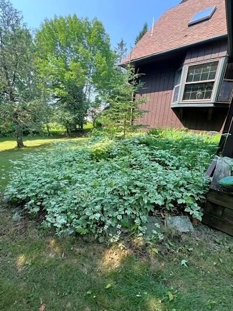 212 Timoney Lake Road Smyrna ME 04780