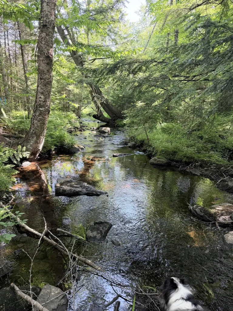 Lot #3 Pine Hill Road Palermo ME 04354