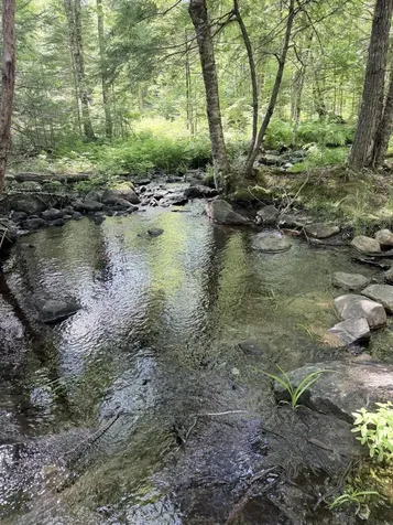 Lot #3 Pine Hill Road Palermo ME 04354