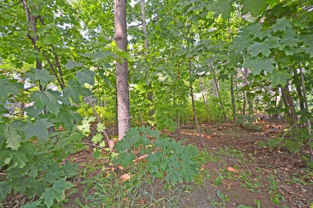 12 Lamothe Avenue Biddeford ME 04005