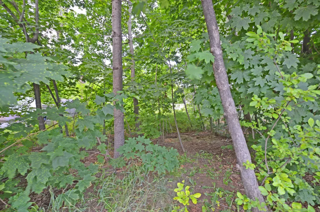 12 Lamothe Avenue Biddeford ME 04005