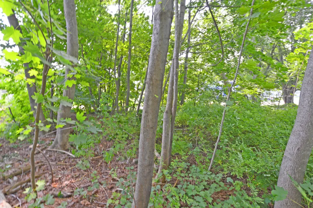 12 Lamothe Avenue Biddeford ME 04005