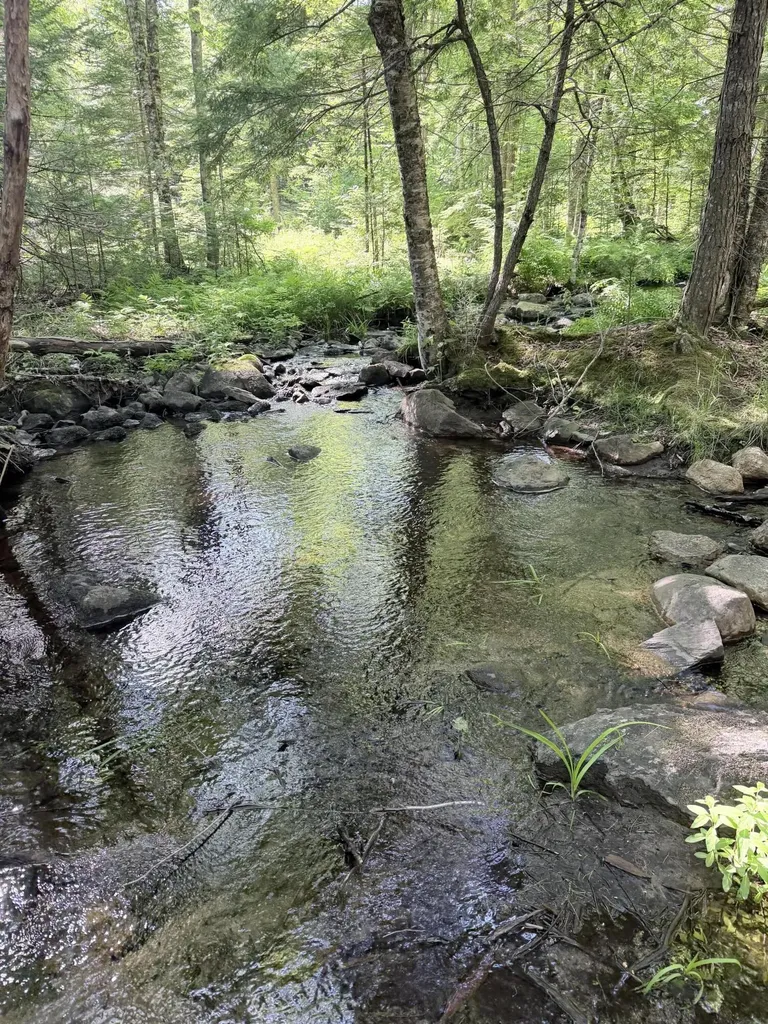 Lot #6 Pine Hill Road Palermo ME 04354