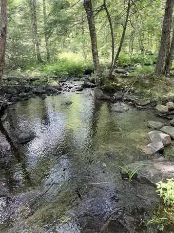 Lot #6 Pine Hill Road Palermo ME 04354