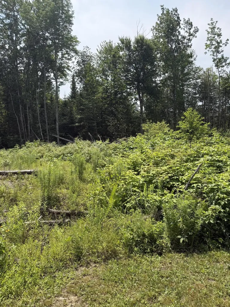 M6L23-4 Pinewood Drive Corinth ME 04427