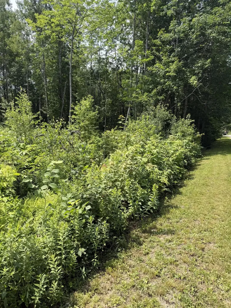 M6L23-4 Pinewood Drive Corinth ME 04427