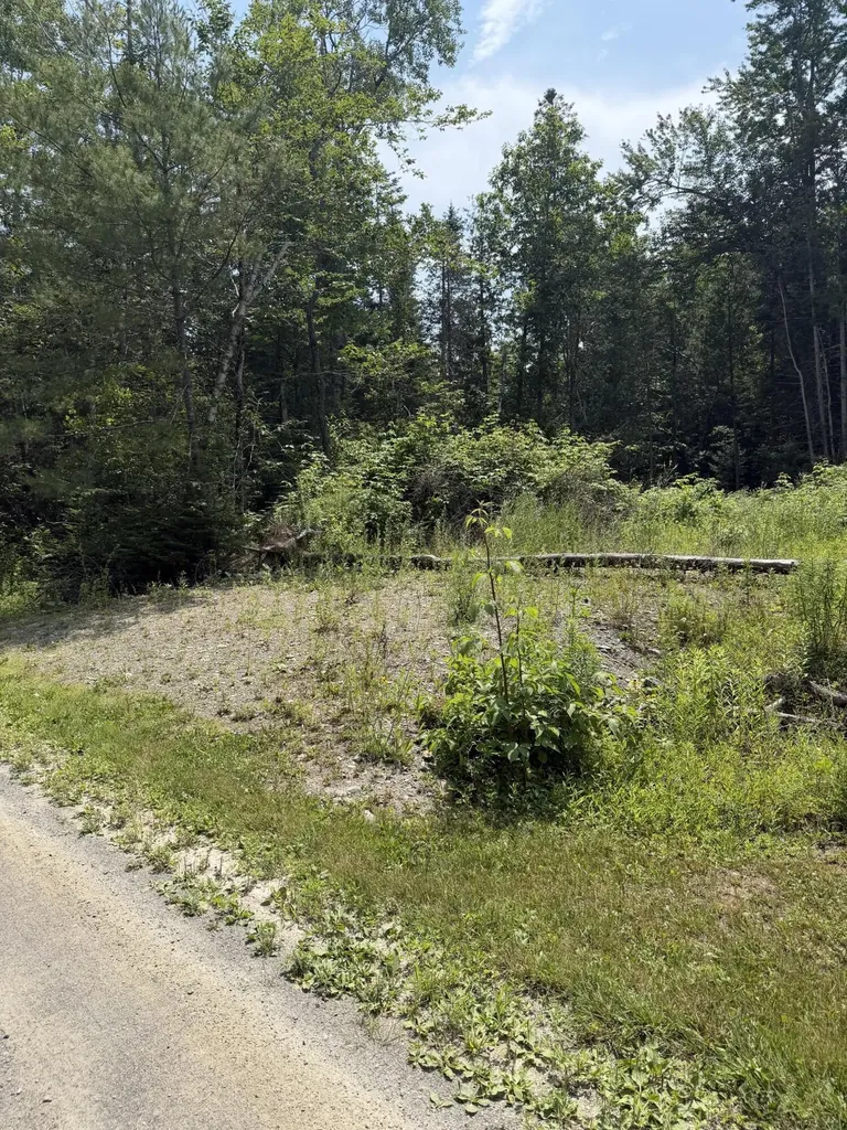 M6L23-4 Pinewood Drive Corinth ME 04427