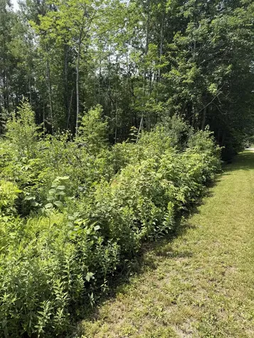M6L23-4 Pinewood Drive Corinth ME 04427