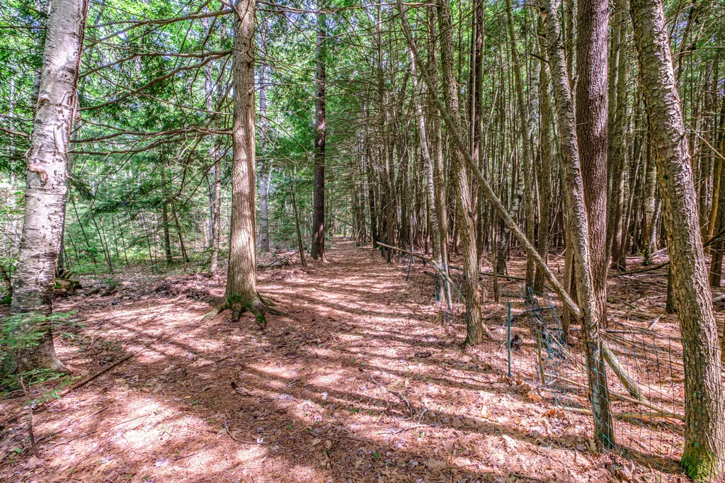 262 Holmes Road Scarborough ME 04074