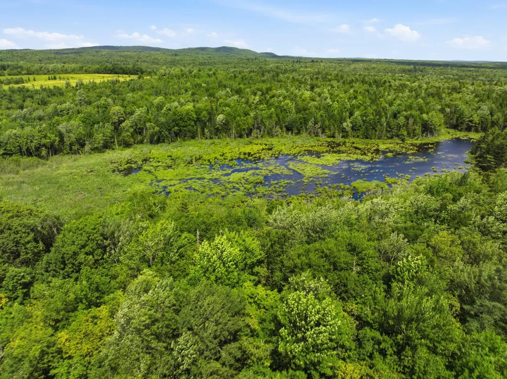 168 South Road Topsfield ME 04490