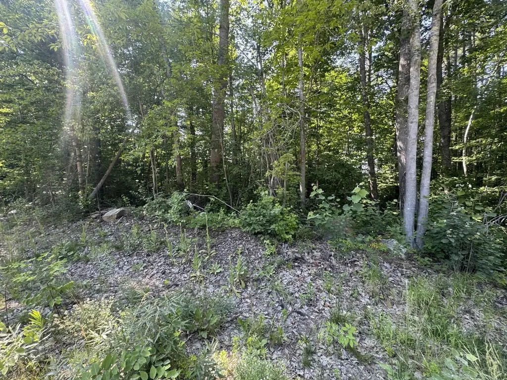 Lot 3 Fisher Drive Limerick ME 04048