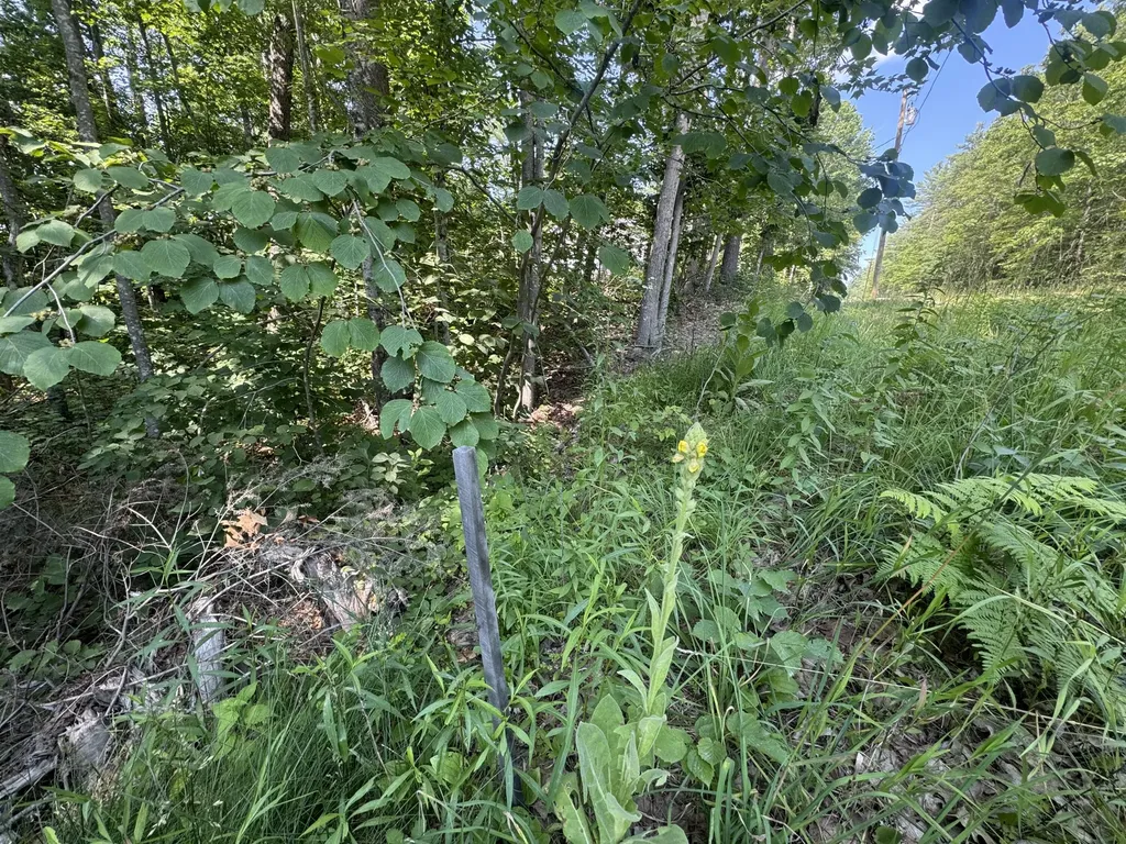 Lot 3 Fisher Drive Limerick ME 04048
