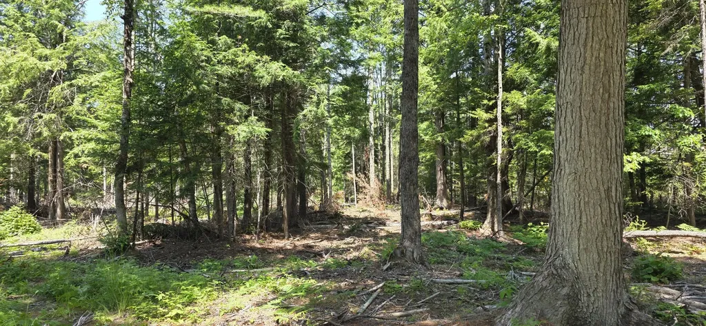 Lot B Maine 106 Leeds ME 04263