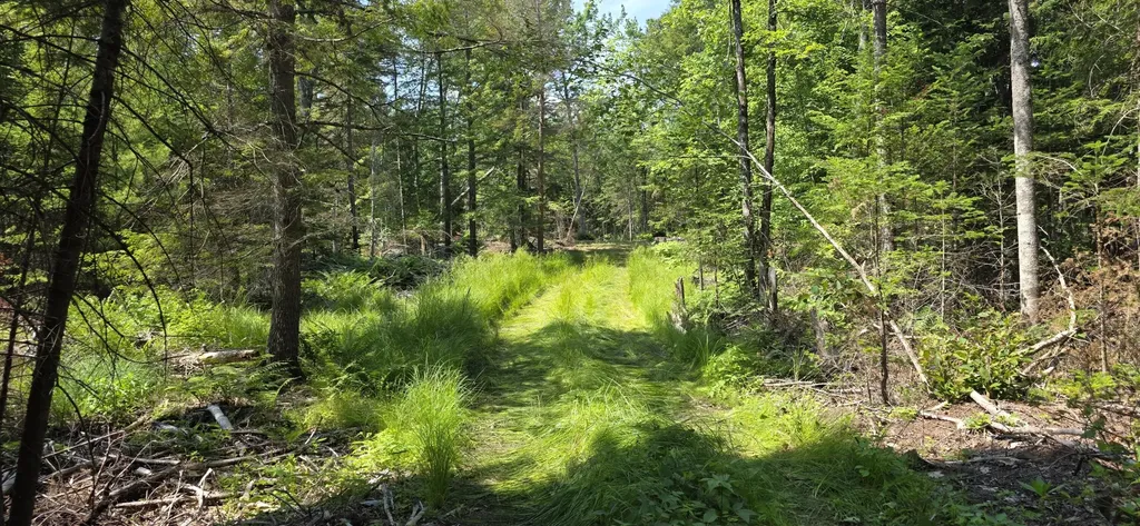 Lot B Maine 106 Leeds ME 04263