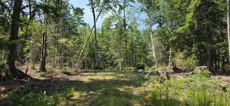 Lot B Maine 106 Leeds ME 04263