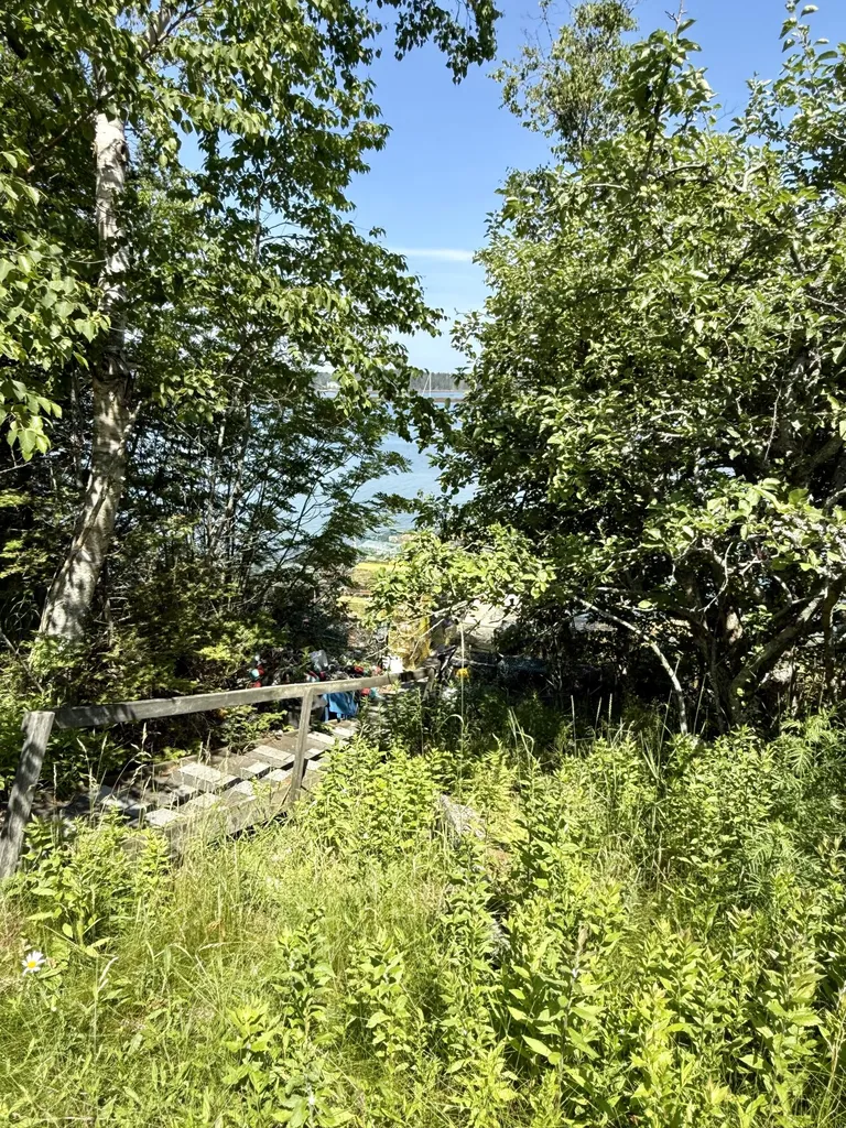 399 Mooseneck Road Addison ME 04606