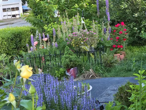 15 Granite Street Biddeford ME 04005