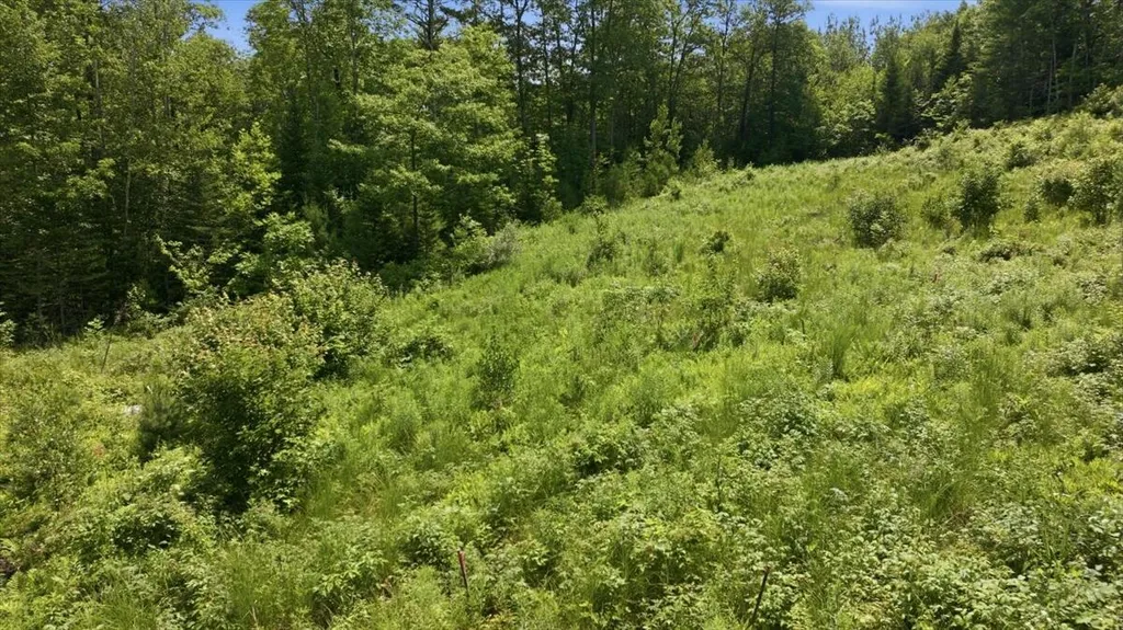 273 Wiley Road Greene ME 04236
