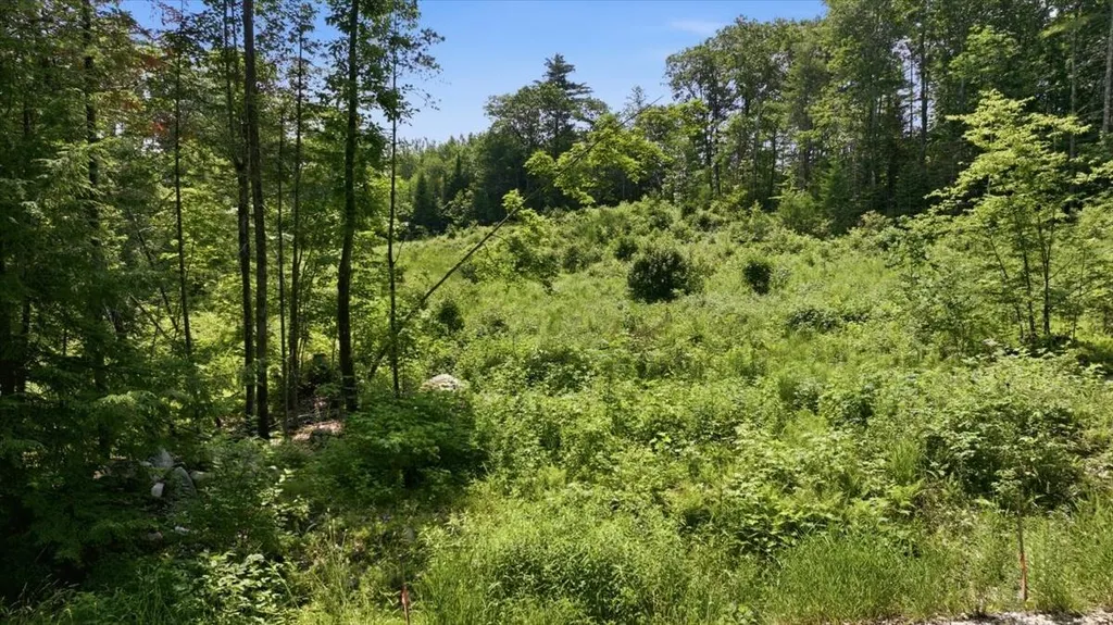 273 Wiley Road Greene ME 04236