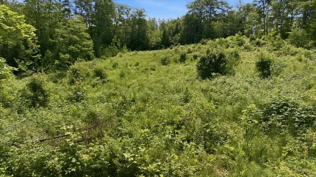 273 Wiley Road Greene ME 04236