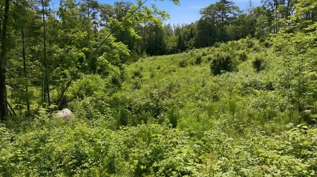 273 Wiley Road Greene ME 04236