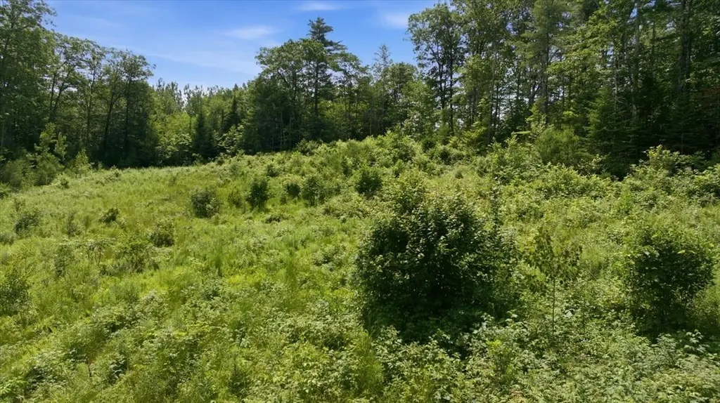 273 Wiley Road Greene ME 04236