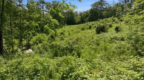273 Wiley Road Greene ME 04236