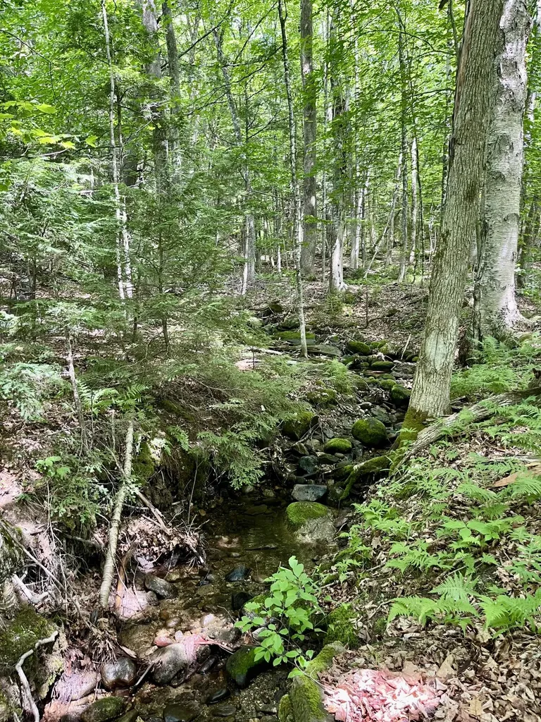 0 Benson Hill Road West Paris ME 04289