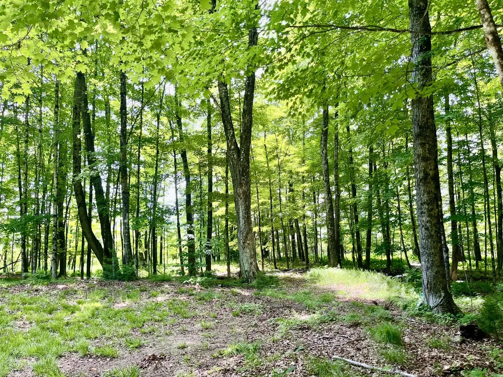 0 Benson Hill Road West Paris ME 04289