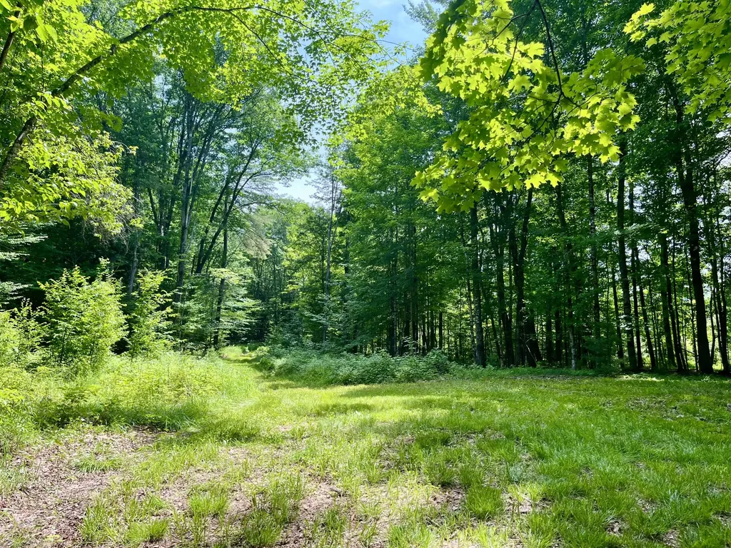 0 Benson Hill Road West Paris ME 04289