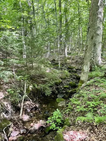 0 Benson Hill Road West Paris ME 04289