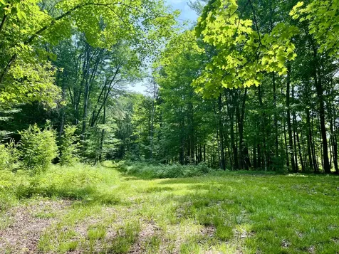 0 Benson Hill Road West Paris ME 04289