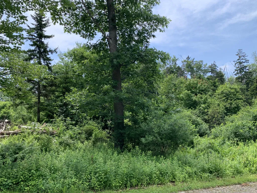 Lot 15 Austin Point Road Harpswell ME 04079
