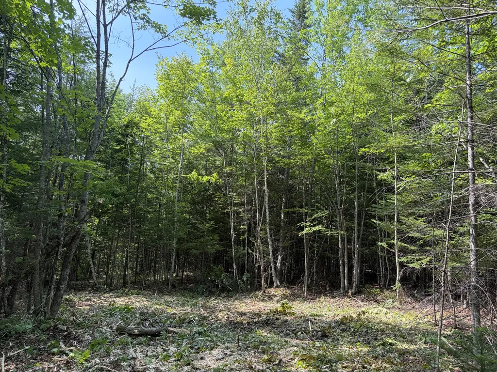 Lot 5 Holley Road Farmington ME 04938