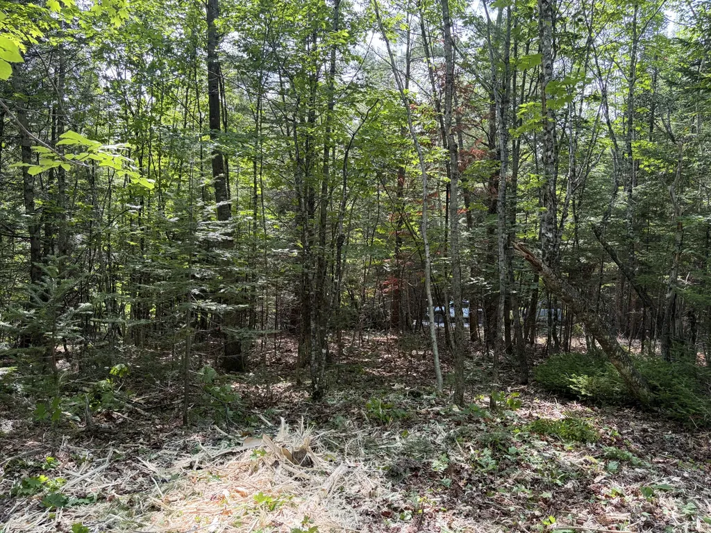 Lot 5 Holley Road Farmington ME 04938