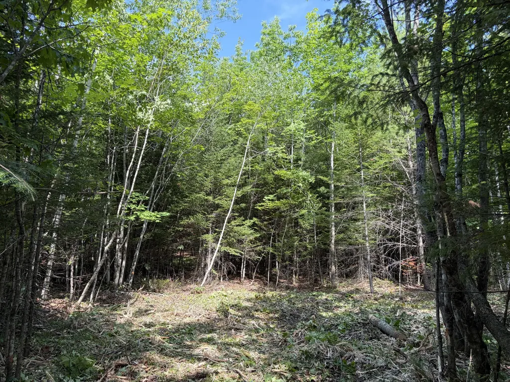 Lot 5 Holley Road Farmington ME 04938